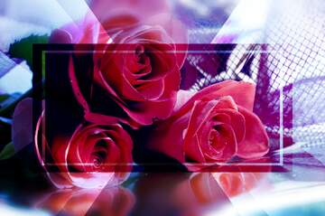 FX №266302 Background Bliss: Roses Bloom in Love`s Greetings