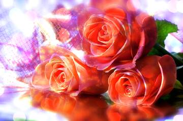FX №266316 Background Symphony: Roses Bloom in Love`s Harmony