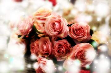 FX №266266 Blooms of Affection: Roses in Love`s Greetings