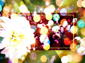 FX №266509 Blooms of Joy: Greetings in Full Bloom