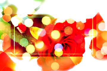 FX №266299 Blossoms of Love: Roses in Greetings Background Symphony