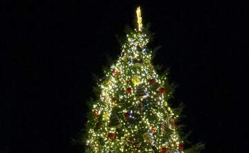 FX №266942 Christmas tree on dark background