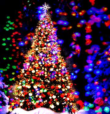 FX №266816 Christmas Tree Ideas background