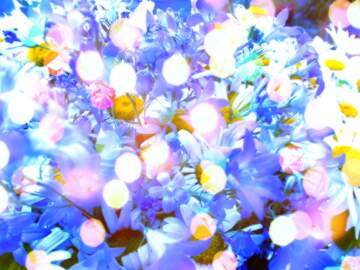 FX №266716 Daisy Flower Frame on Light Background  Illustration Stock