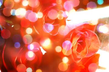 FX №266259 Greetings Radiance: Roses Bloom in Love`s Symphony
