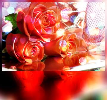 FX №266306 Greetings Radiance: Roses Bloom in Love`s Symphony
