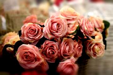FX №266284 Love`s Radiance: Roses Blossom in Greetings Elegance