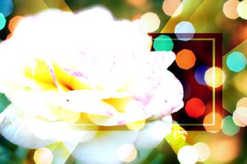 FX №266568 Love`s Wishful Garden: Blooms in Background Harmony
