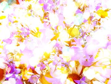 FX №266696 Pastel Daisies flower background