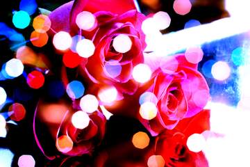 FX №266251 Rose Elegance: Greetings of Love in Floral Harmony