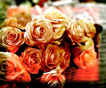 FX №266273 Rose Elegance: Greetings of Love in Floral Harmony