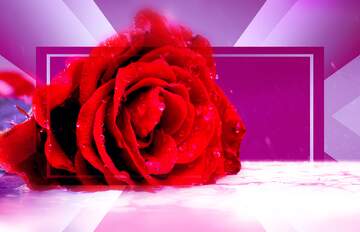 FX №266319 Rose Elegance: Greetings of Love in Floral Harmony