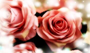 FX №266286 Rose Elegance: Greetings of Love in Floral Symphony
