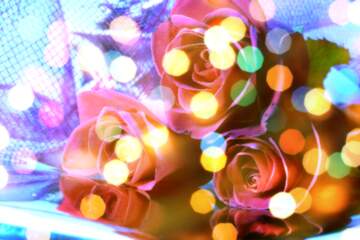FX №266312 Rose Elegance: Greetings of Love in Floral Symphony