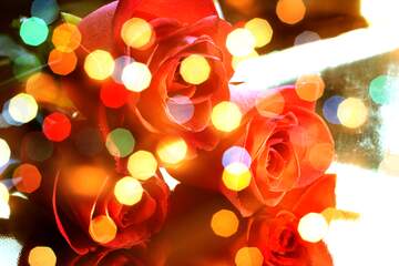 FX №266255 Rose Petal Symphony in Love`s Background Bloom
