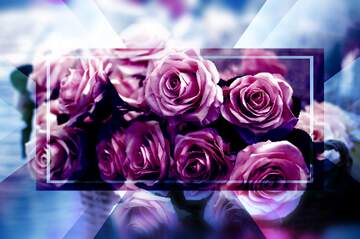 FX №266267 Rose Serenade: Greetings of Love in Floral Bloom