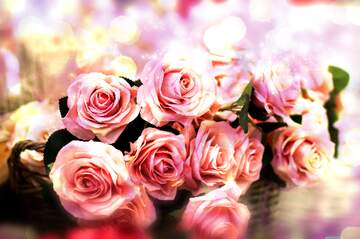 FX №266283 Rose Symphony: Greetings of Love in Floral Harmony