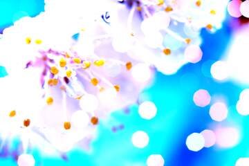 FX №266057 Spring`s Blue Bouquet Brilliance