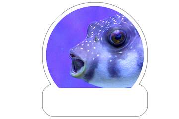 FX №266007 Vibrant Underwater Portrait of a Spotted Pufferfish Against a Purple Backdrop