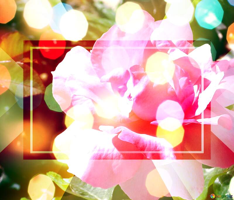Blooms of Love: Wishful Background Petals №21755