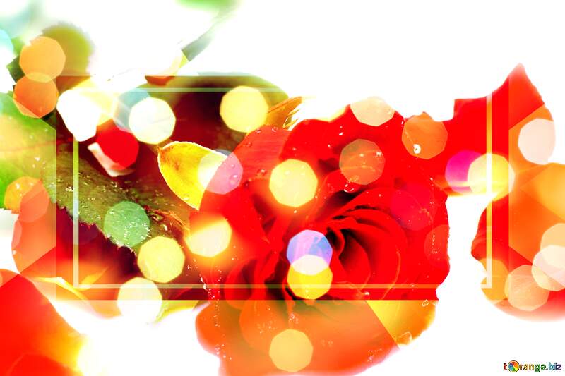Blossoms of Love: Roses in Greetings Background Symphony №16876