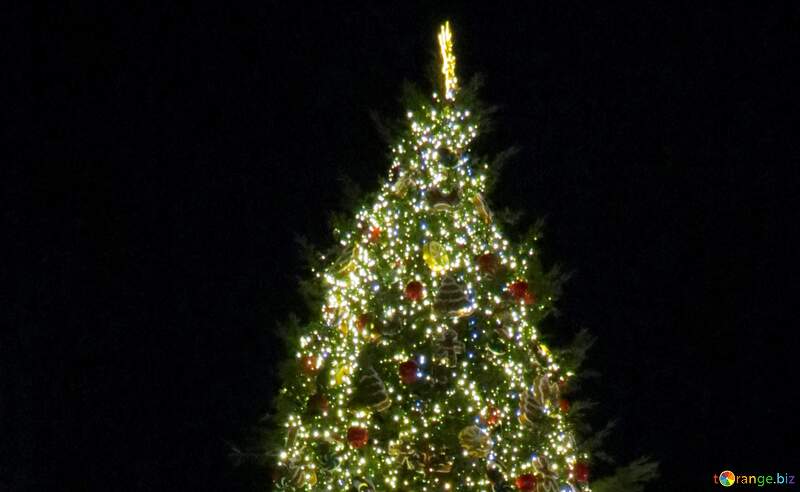 Christmas tree on dark background №44700
