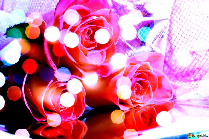 Floral Love Serenade: Roses on Greetings Background №7265