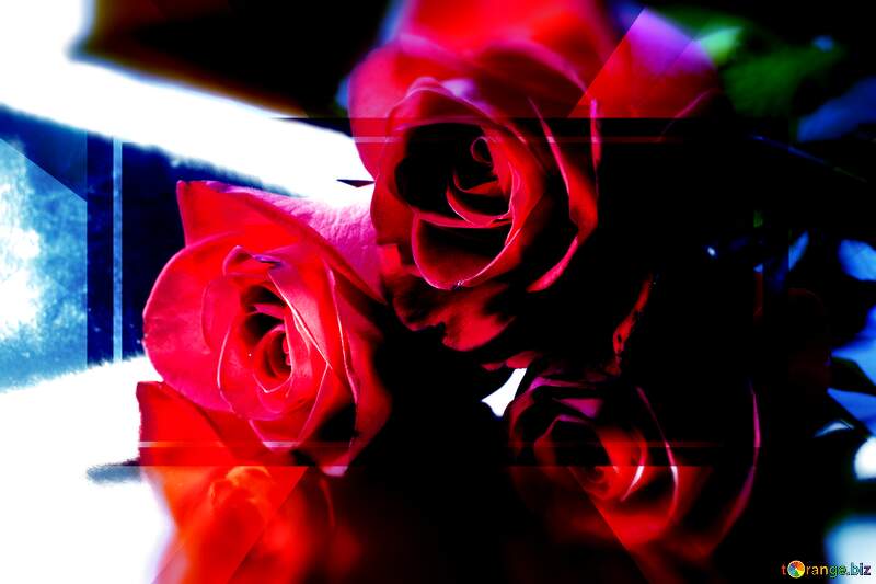Greetings Harmony: Roses Blossom in Love`s Symphony №7210