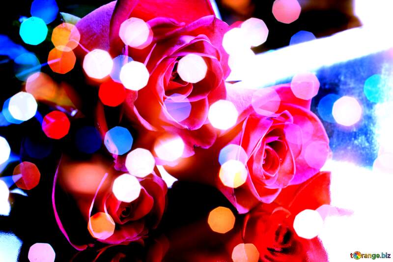Rose Elegance: Greetings of Love in Floral Harmony №7210