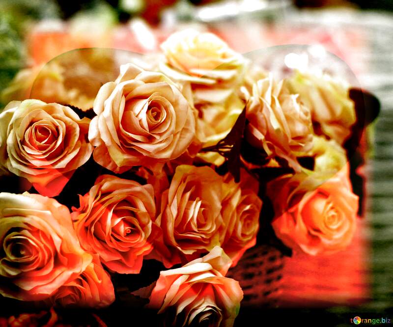 Rose Elegance: Greetings of Love in Floral Harmony №47121