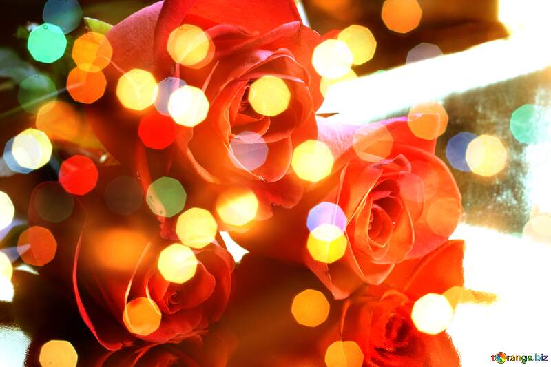 Rose Petal Symphony in Love`s Background Bloom №7210