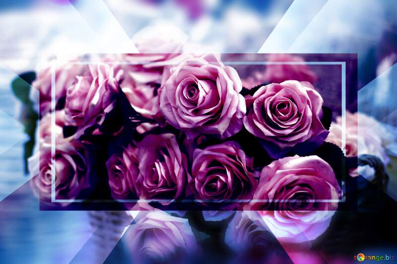Rose Serenade: Greetings of Love in Floral Bloom №47121
