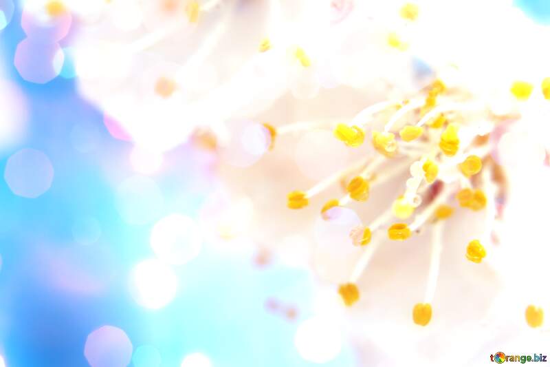 Spring`s Azure Bloom Symphony №29890