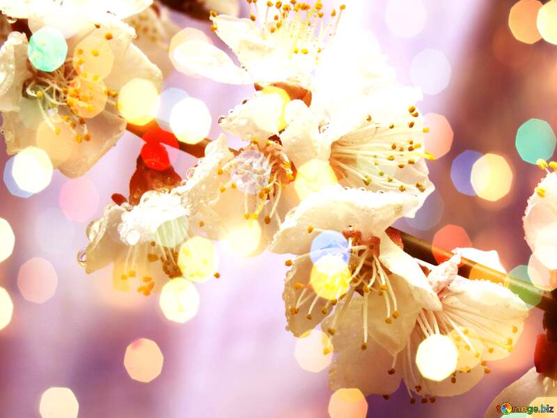 Spring`s Azure Floral Waltz №30021