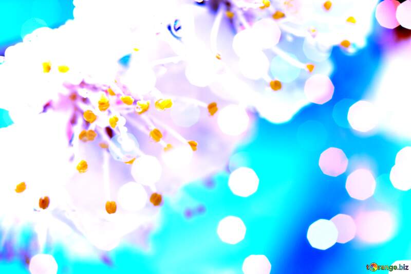 Spring`s Blue Bouquet Brilliance №29890