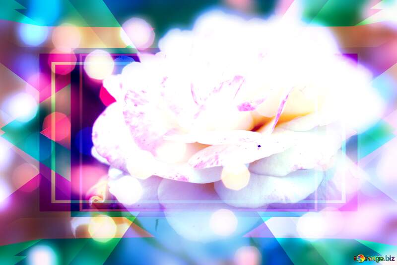 Wishing Petal Harmony: Love Blooms in Background №55179