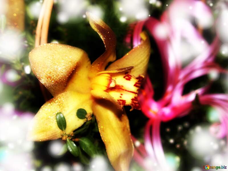 Wishing on Petals: Blooms in Full Blooming Elegance №885