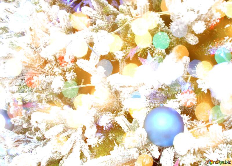 Xmas Tree Snow Gift Backdrop №51172