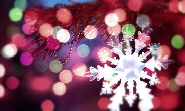 FX №267527 Arctic Affection: Snowflake Winter Wishes Background