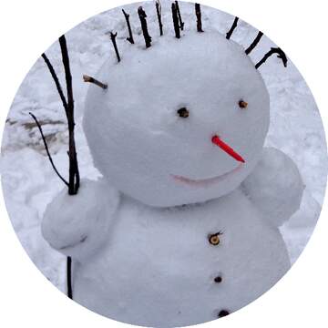FX №267393 snowman image for profile