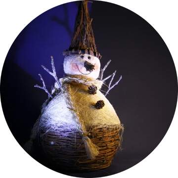 FX №267351 snowman profile image