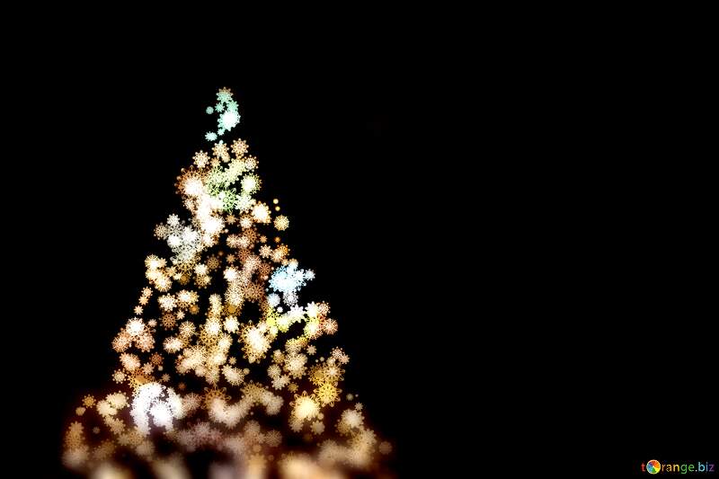 Beautifully Blurred Christmas Tree Lights Against a Black Background №40850