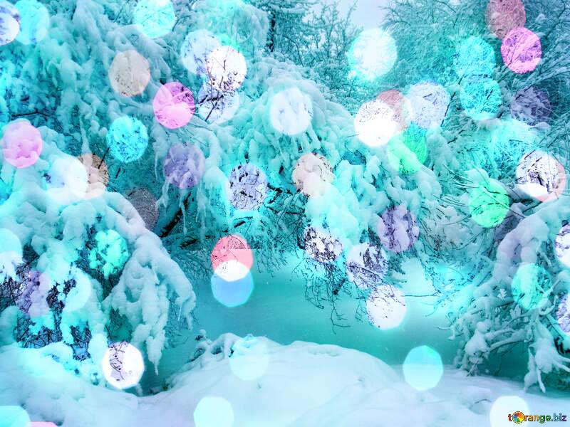 Enchanting Winter Wonderland: Vibrant Holiday Lights on a Snowy Landscape №10522