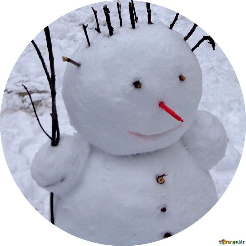 snowman image for profile №43054