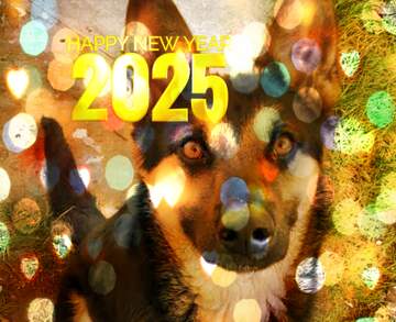 FX №268764 Dog  Christmas 2025