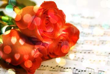 FX №268047 Red Roses on Musical Notes - A Romantic Still Life