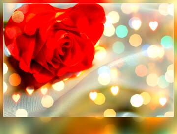 FX №268552 Stunning Red Rose with Heart-Shaped Bokeh Background for Romantic Aesthetic