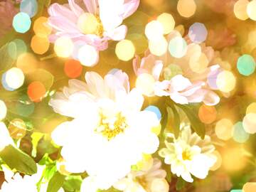 FX №268521 Whimsical Floral Bloom with Soft Bokeh Effects – Colorful Nature Art