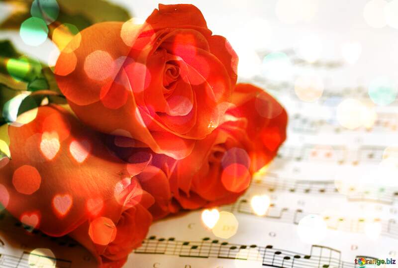 Red Roses on Musical Notes - A Romantic Still Life №7201