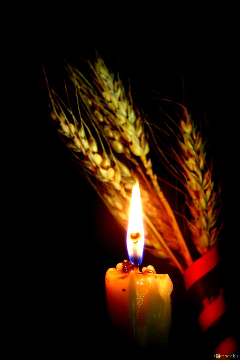 Serenity in Flame: Candlelight and Wheat - A Captivating Still Life №37784